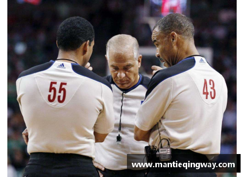 NBA裁判工资分析及影响因素 - 副本